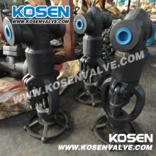 Forged Steel Threaded End Pressure Sealed Globe Valves